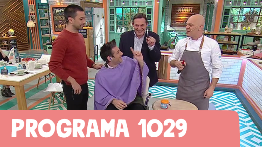 Programa 1029