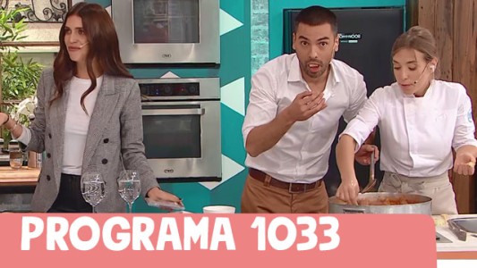 Programa 1033