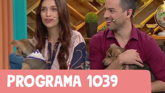 Programa 1039