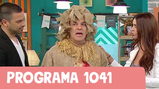 Programa 1041