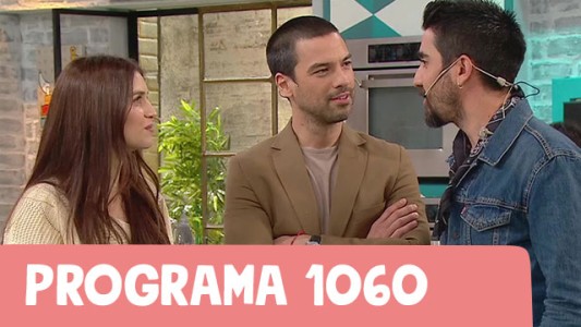 Programa 1060