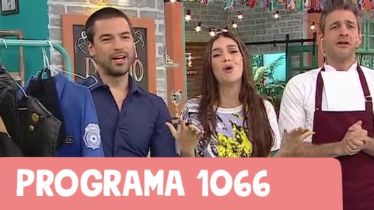 Programa 1066