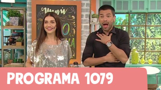 Programa 1079