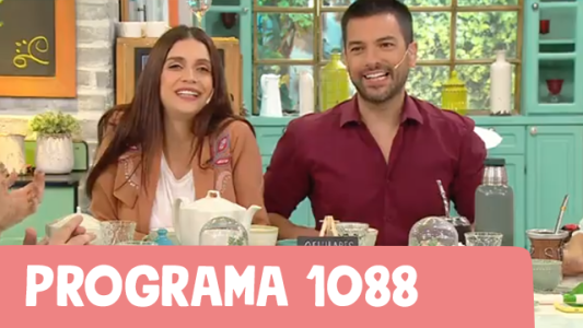 Programa 1088