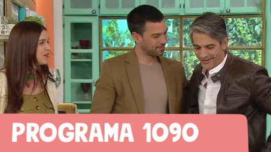 Programa 1090