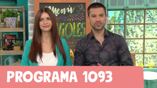 Programa 1093