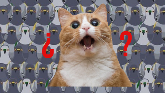 DESAFÍO VIRAL: ¿Podrás encontrar el gato oculto entre las palomas?