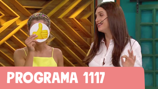 Programa 1117