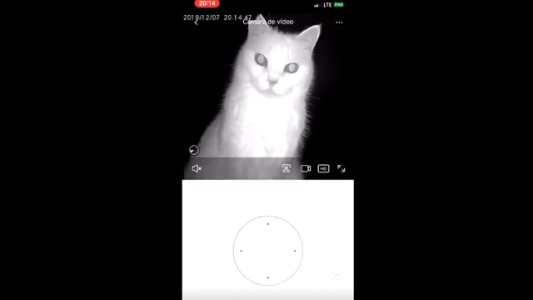 ¿La cámara vigila a la gata o la gata vigila a la cámara?
