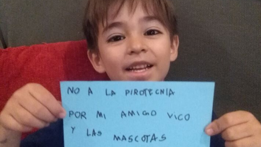 No a la pirotecnia: la conmovedora campaña de un nene de seis años