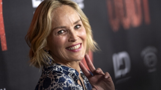 Sharon Stone se bajó una aplicación de citas, pero fue bloqueada