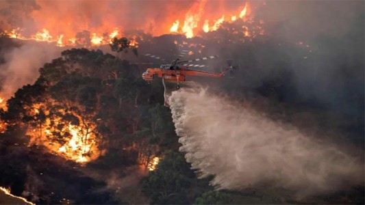 Famosos donan sumas millonarias por los incendios en Australia