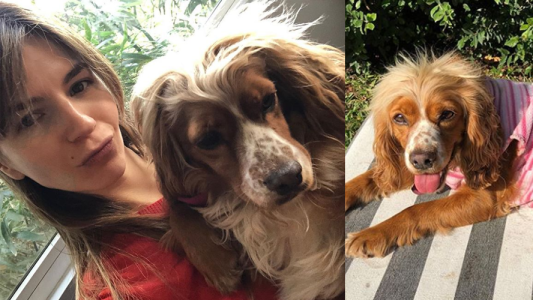 ¿Conocés a “Perri”? La mascota a la que Marcela Kloosterboer le salvó la vida