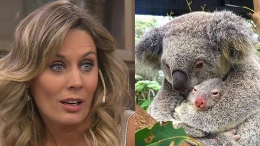 Rocío Marengo se sinceró con todos luego de que la acusaran de robarse un koala