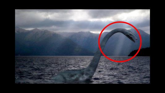 ¿Verdadero o falso? Apareció un video que comprueba la supuesta existencia de “Nahuelito” en el Lago Nahuel Huapi