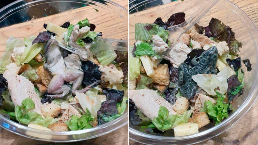 Pidió una ensalada y le vino con una rana