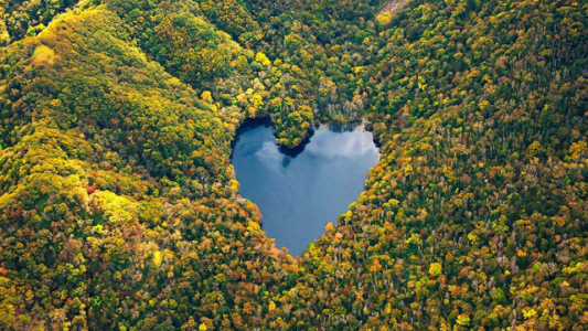 San Valentín: 10 corazones que nos regala la naturaleza