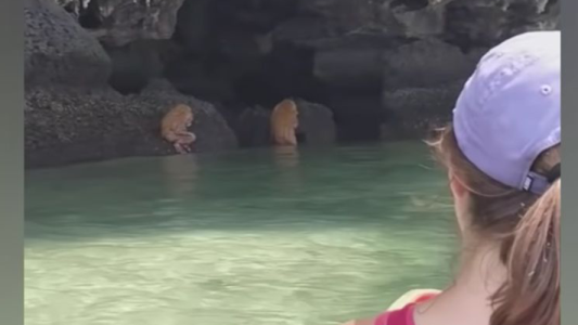 Ritual con extrañas criaturas en Tailandia