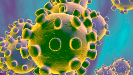 La polémica por la famosa cuenta del coronavirus en Twitter