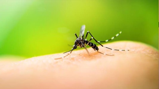 Tres casos de Dengue en un mismo edificio