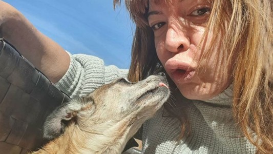 El curioso truco de Lizy para dormir a sus mascotas