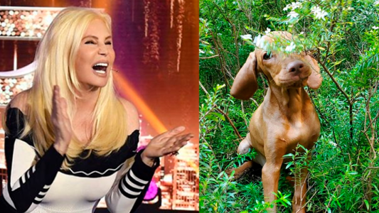 Susana Giménez y Rita se reencontraron