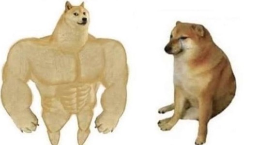 El exitoso meme del perro que compara la vida antes y ahora