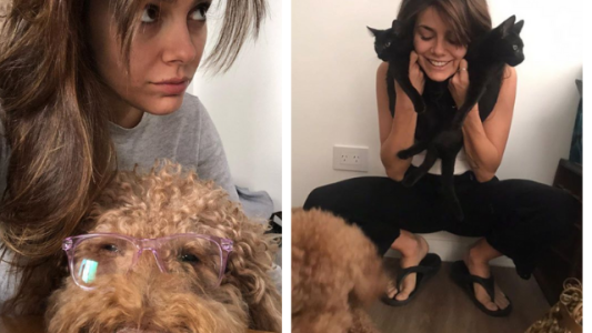 La furia de Natalie Pérez con quienes critican a sus mascotas