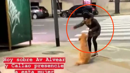 La mujer que golpeó a su perro en la calle, seguirá teniéndolo en su casa y arremetió contra quienes la criticaron