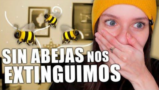 "Sin abejas nos extinguimos": el video de Mica Suárez que es tendencia