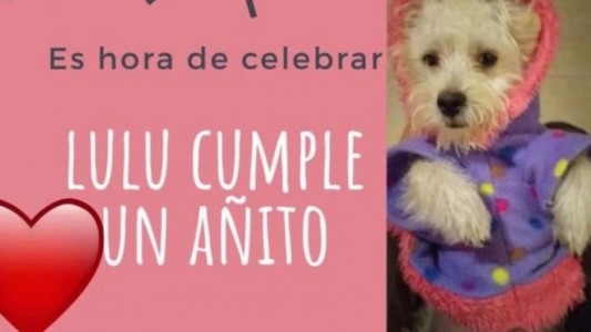 Fiesta clandestina: le celebró el cumpleaños a su perra con amigos