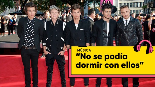 Una asistente de One Direction brindó intimidades de la banda