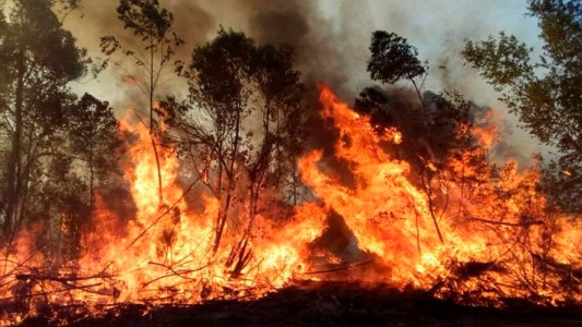 Siguen activos los incendios forestales en Argentina