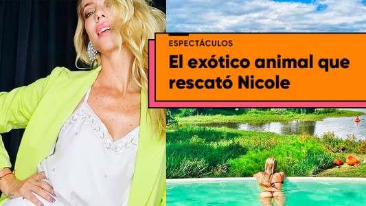 La particular mascota que rescató Nicole Neumann