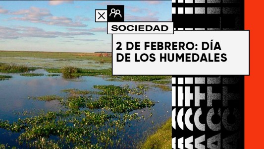 Día de los humedales: ¿Qué son y por qué son tan importantes?