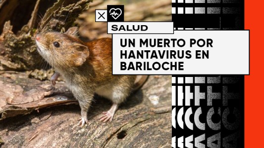 Hantavirus: ¿peligro de rebrote?