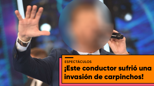 Un grupo de carpinchos invadió la casa de un famoso