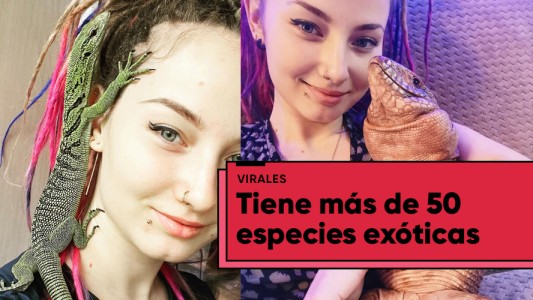 ¡Increíble! Una joven rusa tiene más de 50 especies exóticas en su hogar y es furor en TikTok