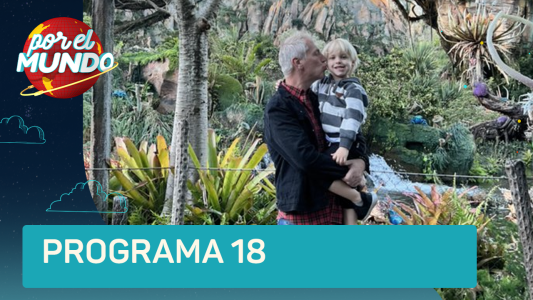 Programa 18