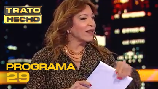 Programa 29