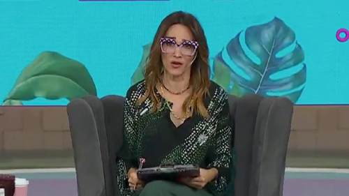 Programa 1333