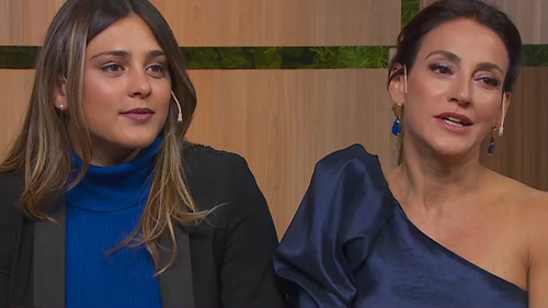 Programa 1335