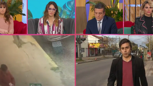 Programa 1353