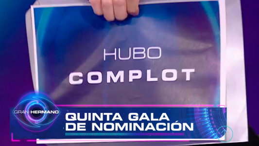 Programa 31