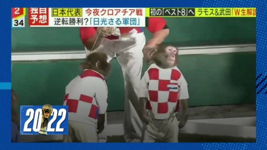 Japón: simularon con monos el partido contra Croacia