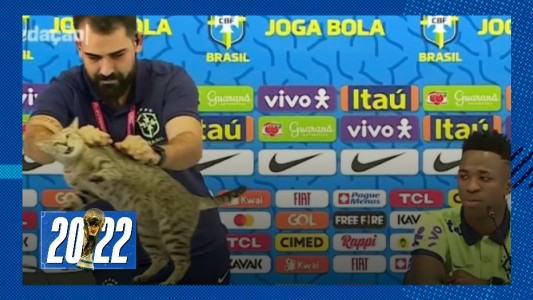 Maltrato animal en el Mundial durante la conferencia de Brasil