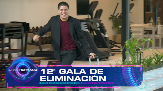 Programa 82