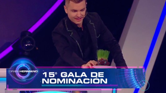Programa 97