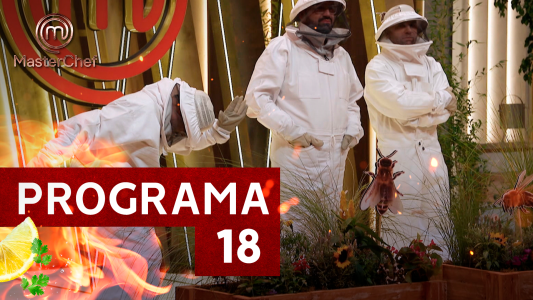 Programa 18