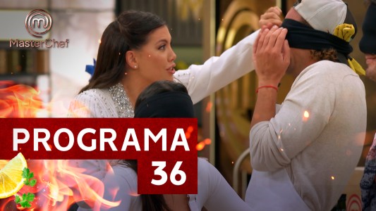 Programa 36